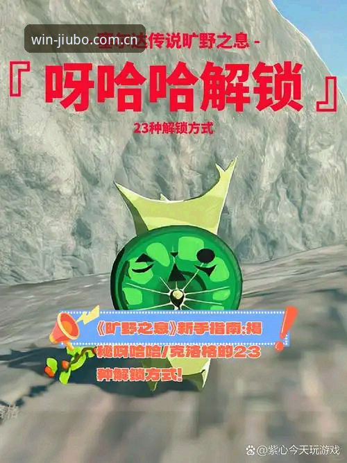 揭秘九博注册步骤背后的真相：实战派玩家的高效入场指南